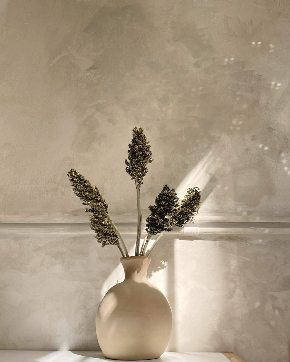 A round cream vase with dried stems against a plaster wall in a shaft of light.